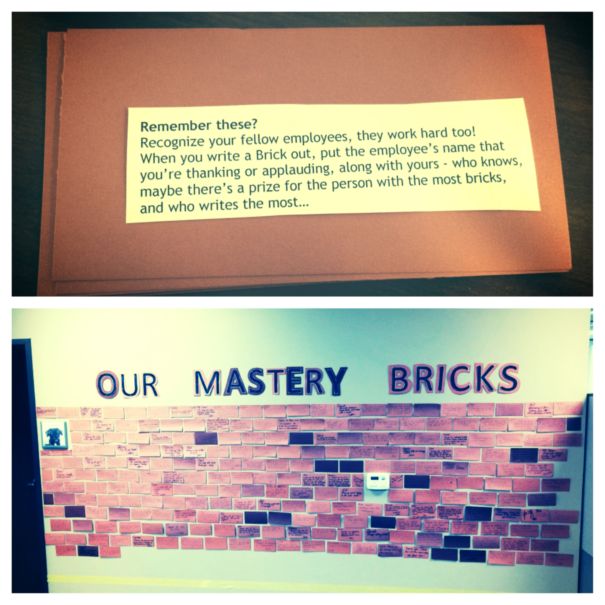 Appreciation Bricks