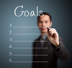 What steps will you take to meet your professional goals in 2015?