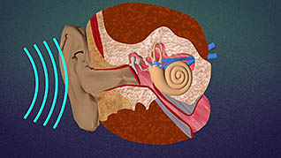 Hearing Conservation and Safety thumbnails on a slider