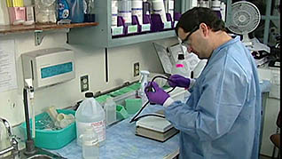 Laboratory Safety: Electrical Safety in the Laboratory thumbnails on a slider