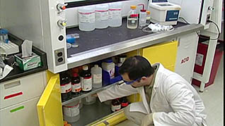 Laboratory Safety: Laboratory Ergonomics thumbnails on a slider