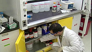Laboratory Safety: Laboratory Ergonomics thumbnails on a slider