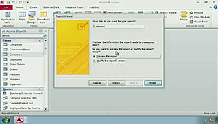 Microsoft Access 2010: Generating Reports thumbnails on a slider