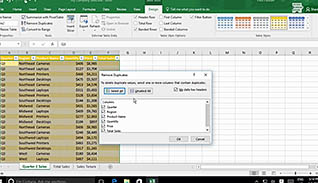 Microsoft Excel 2016 Level 2.3: Analyzing Data thumbnails on a slider