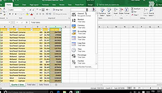 Microsoft Excel 2016 Level 2.3: Analyzing Data thumbnails on a slider