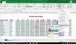 Microsoft Excel 2016 Level 1.1: Getting Started thumbnails on a slider