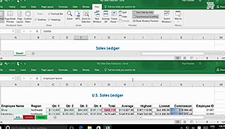 Microsoft Excel 2016 Level 1.6: Managing Workbooks thumbnails on a slider