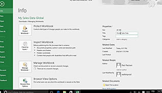 Microsoft Excel 2016 Level 1.6: Managing Workbooks thumbnails on a slider