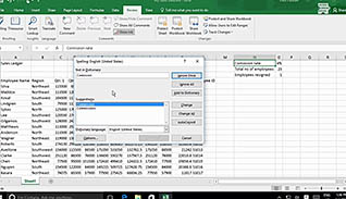 Microsoft Excel 2016 Level 1.3: Modifying a Worksheet thumbnails on a slider