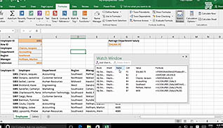 Microsoft Excel 2016 Level 3.2: Using Lookup Functions and Formula Auditing thumbnails on a slider
