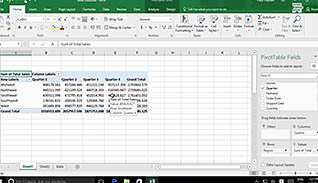Microsoft Excel 2016 Level 2.5: Using PivotTables and PivotCharts thumbnails on a slider