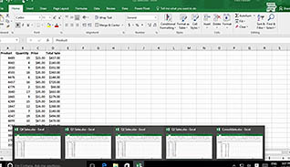 Microsoft Excel 2016 Level 3.1: Working with Multiple Worksheets and Workbooks thumbnails on a slider