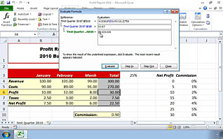 Microsoft Excel 2010: Auditing Worksheets thumbnails on a slider