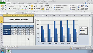 Microsoft Excel 2010: Integrating Excel Data with the Web thumbnails on a slider
