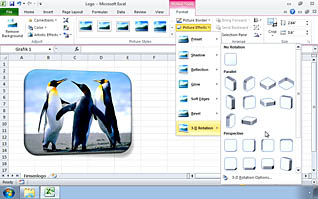 Microsoft Excel 2010: Inserting Graphic Objects thumbnails on a slider