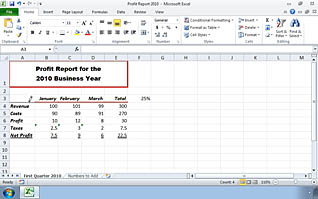 Microsoft Excel 2010: Modifying the Appearance of a Worksheet thumbnails on a slider