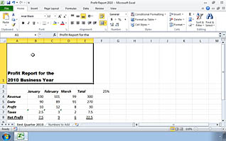 Microsoft Excel 2010: Modifying the Appearance of a Worksheet thumbnails on a slider