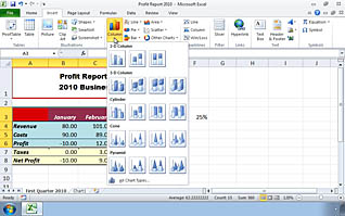 Microsoft Excel 2010: Presenting Data Using Charts thumbnails on a slider