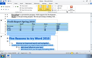 Microsoft Word 2010: Simplifying the Use of Long Documents thumbnails on a slider