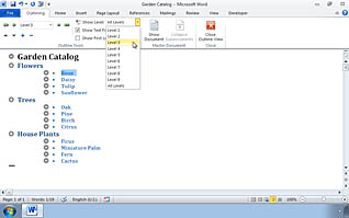Microsoft Word 2010: Using Microsoft Office Word 2010 with Other Programs thumbnails on a slider