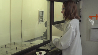 Laboratory Safety Orientation thumbnails on a slider