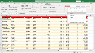 Mastering Excel 365 – Intermediate Part 6: Tables And PivotTables thumbnails on a slider