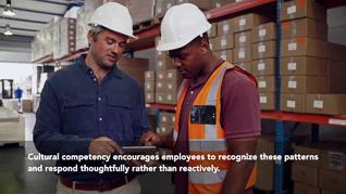 Cultural Competency In The Workplace thumbnails on a slider